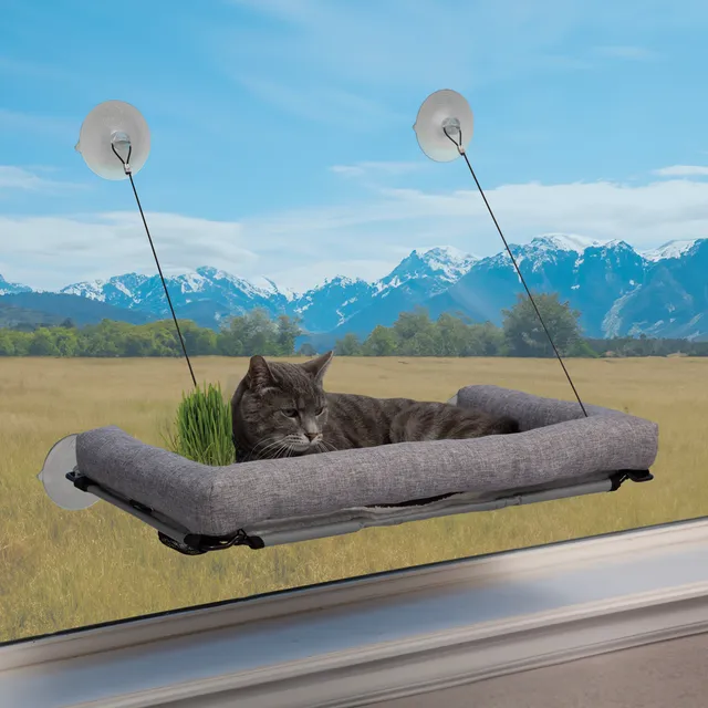 k-h-kitty-sills-ez-mount-hamac-fen-tre-chat-avec-herbe-chat image 1