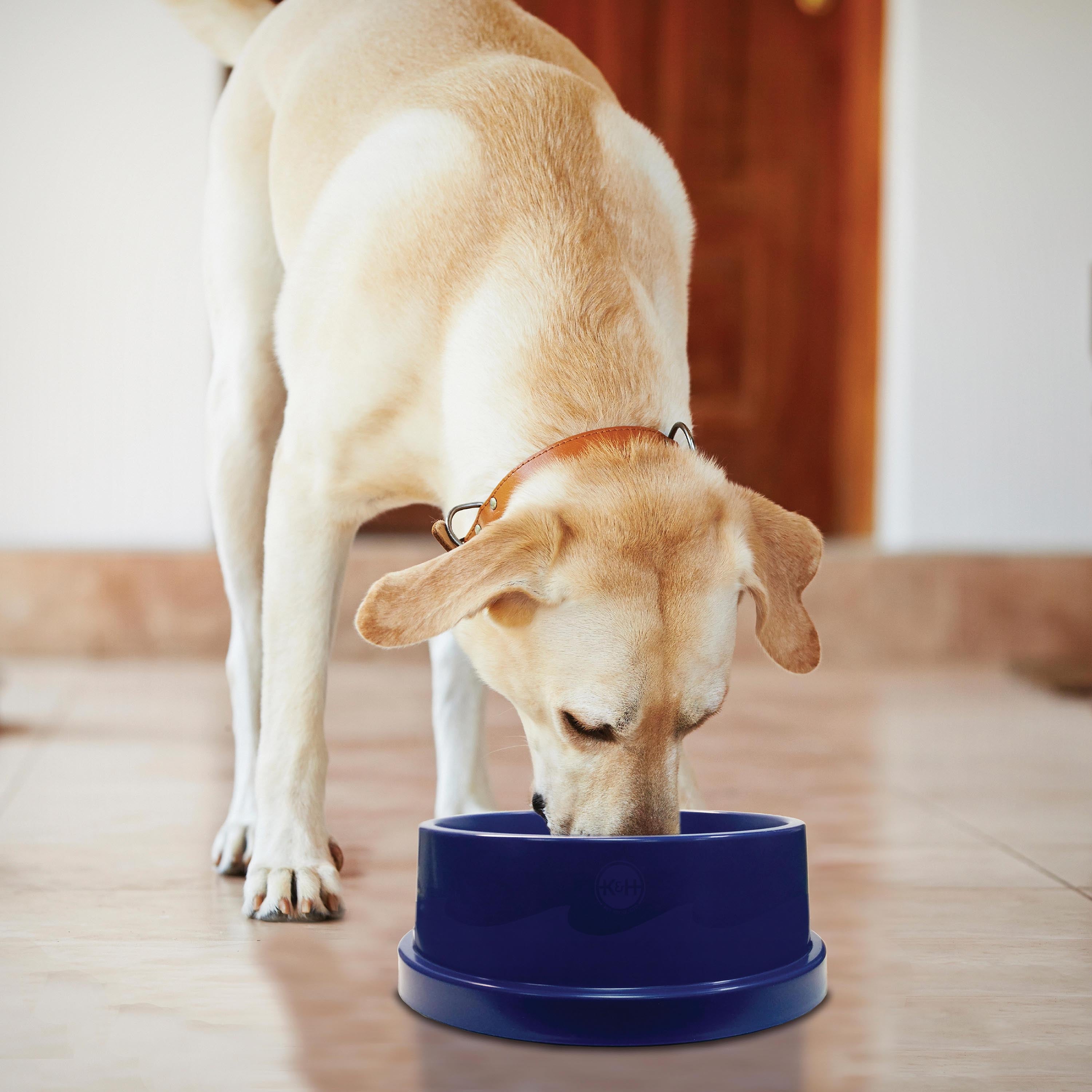 k-h-coolin-bowl-gamelle-rafra-chissante-chien-96oz-bleu image 2