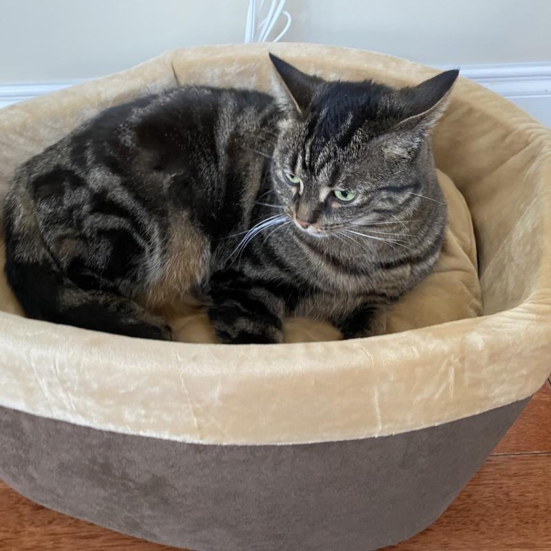 Adopté direct