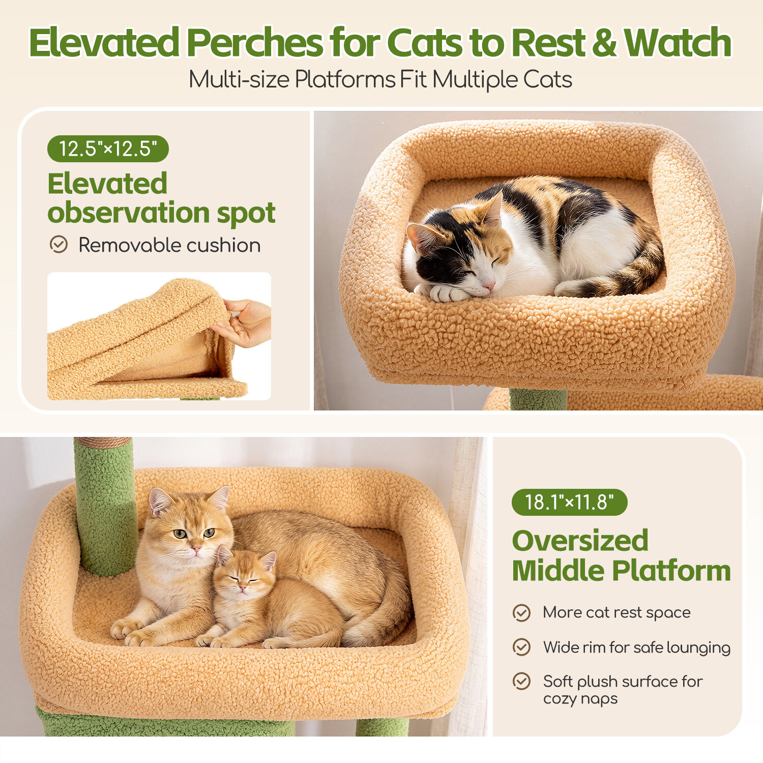globlazer-f-series-f54-arbre-chat-cactus-vert image 3