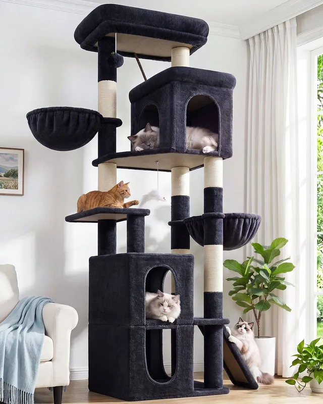 globlazer-f70f-arbre-chat-gris-fonc-70-pouces-multi-niveaux image 1