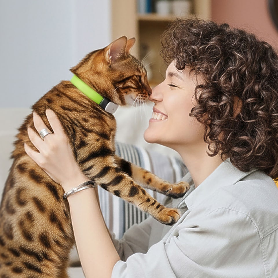 kippy-cat-traceur-gps-chat-collier-d-tachable-12-jours image 3