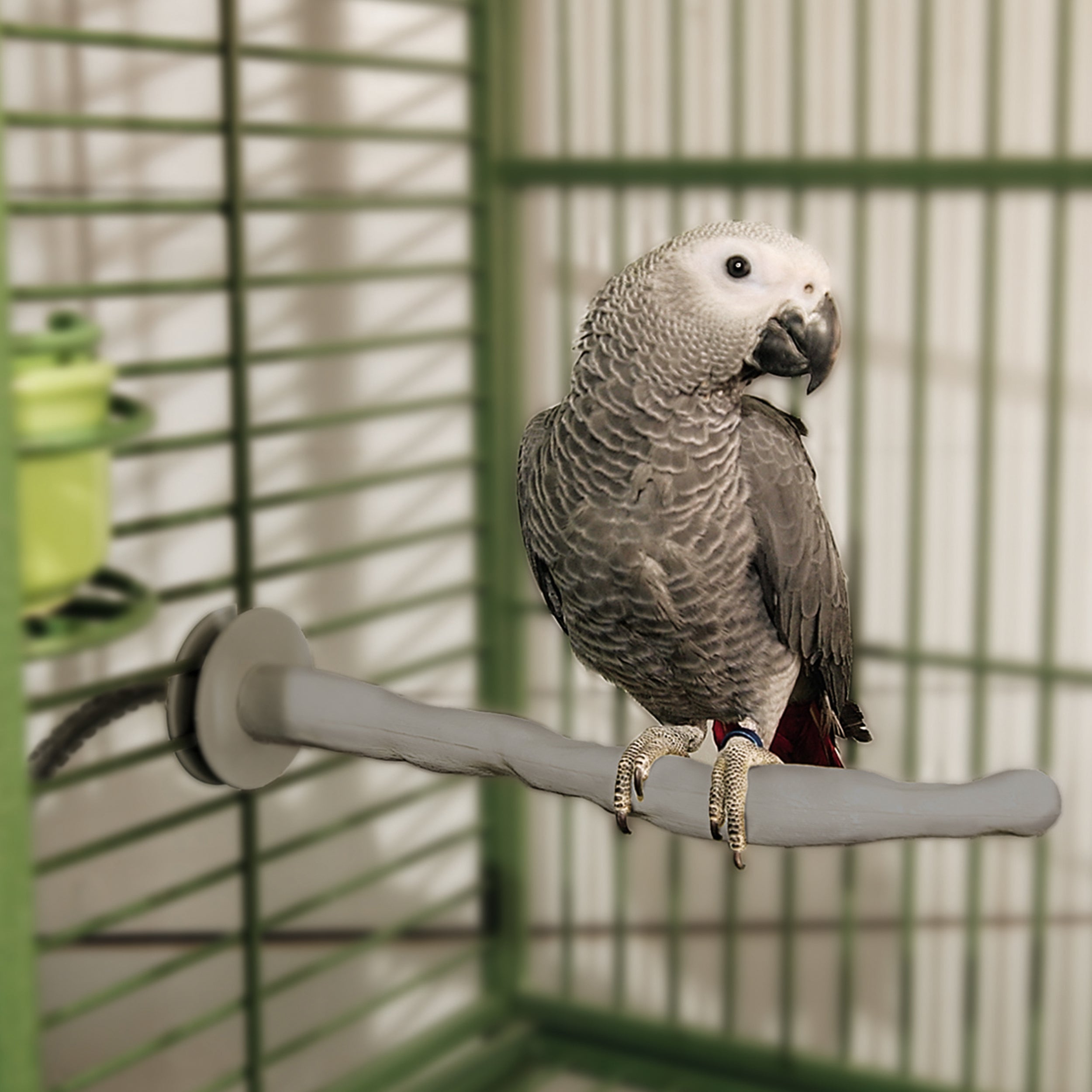 k-h-thermo-perch-perchoir-chauffant-oiseau-3-tailles-12v image 5