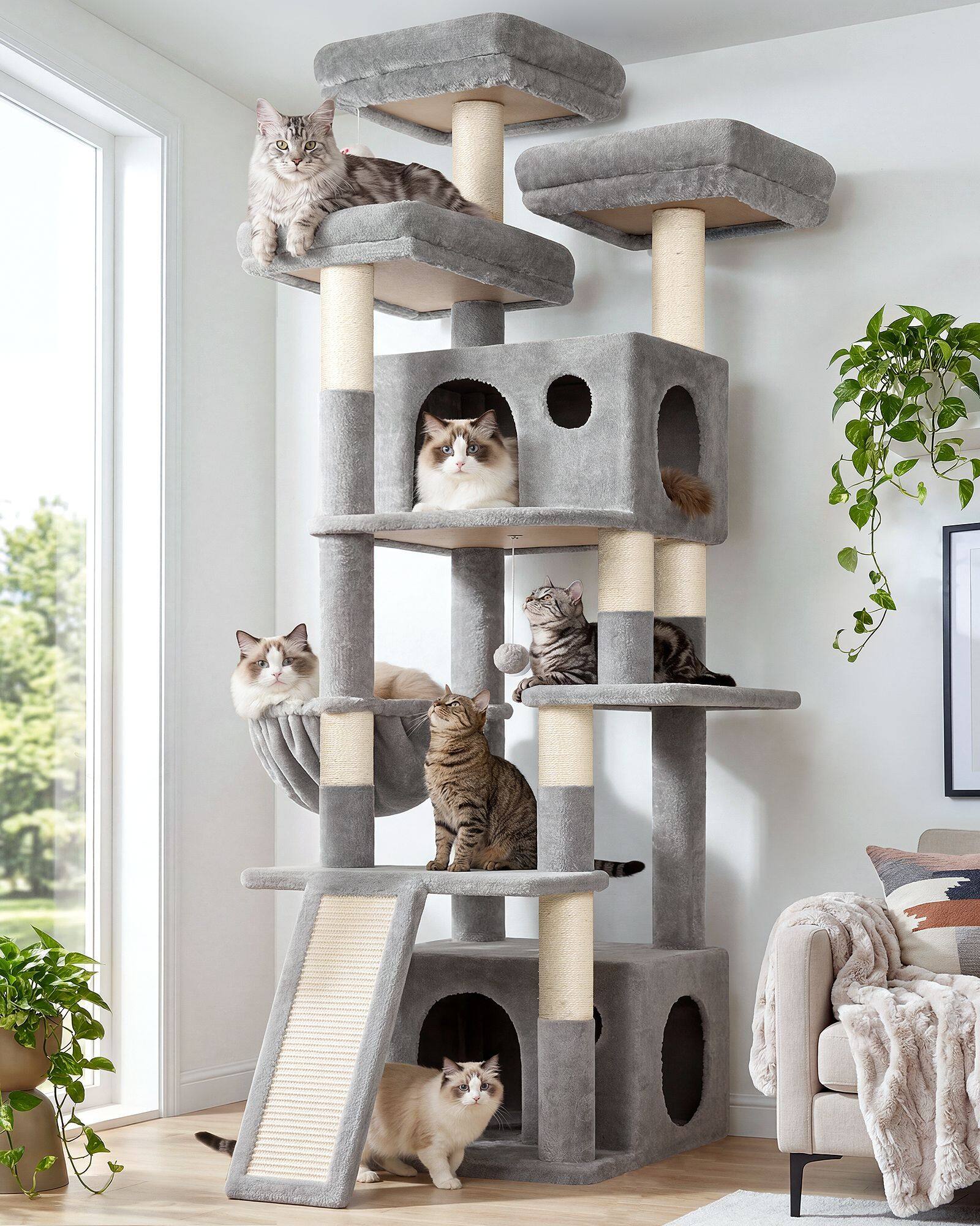 globlazer-f-series-f73c-arbre-chat-gris-clair-73-pouces-grand image 1