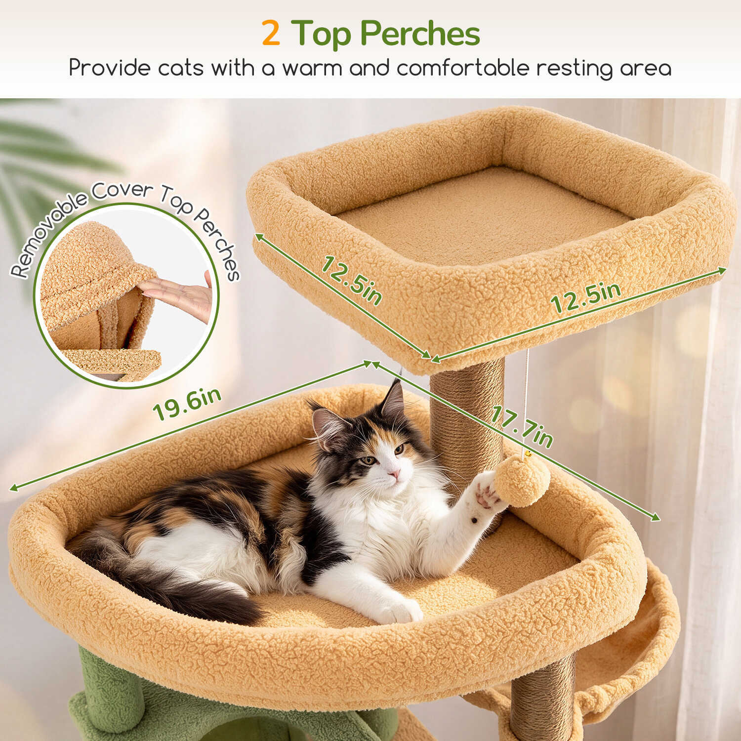 globlazer-f83c-arbre-chat-cactus-extra-grand-pour-grand-chat image 5