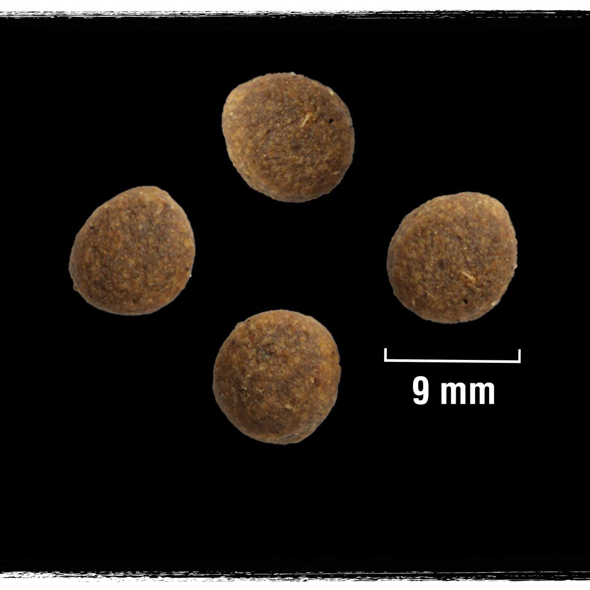 crave-croquettes-chat-saumon-sans-c-r-ales-5x750g image 6