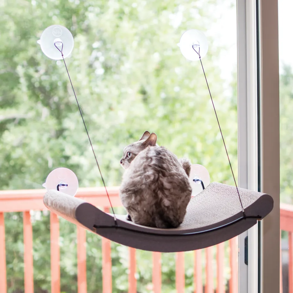 k-h-ez-mount-kitty-sill-cradle-griffoir-fen-tre-carton-herbe-chat image 1
