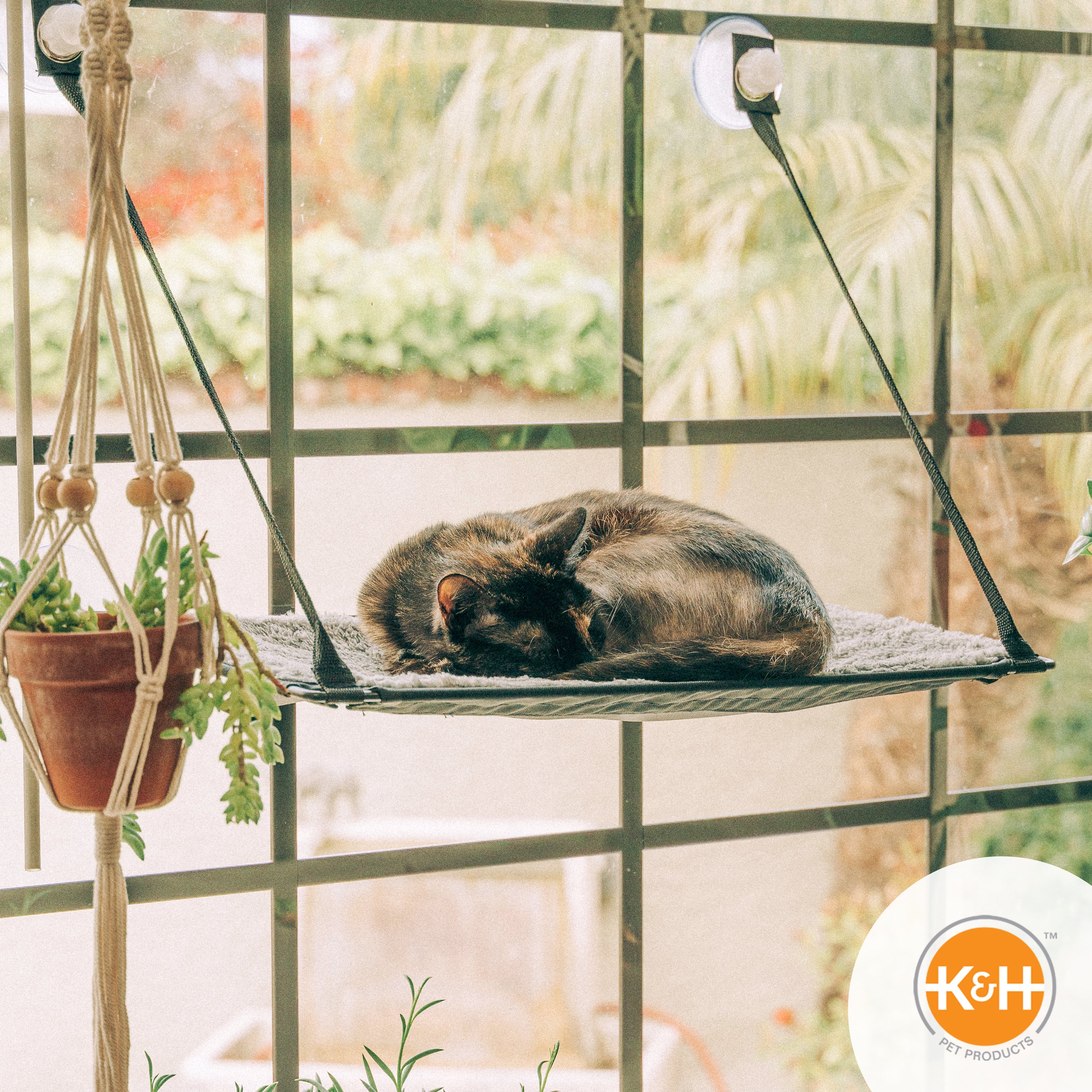 k-h-ez-mount-hamac-chat-fen-tre-ventouse-23x12-simple image 5