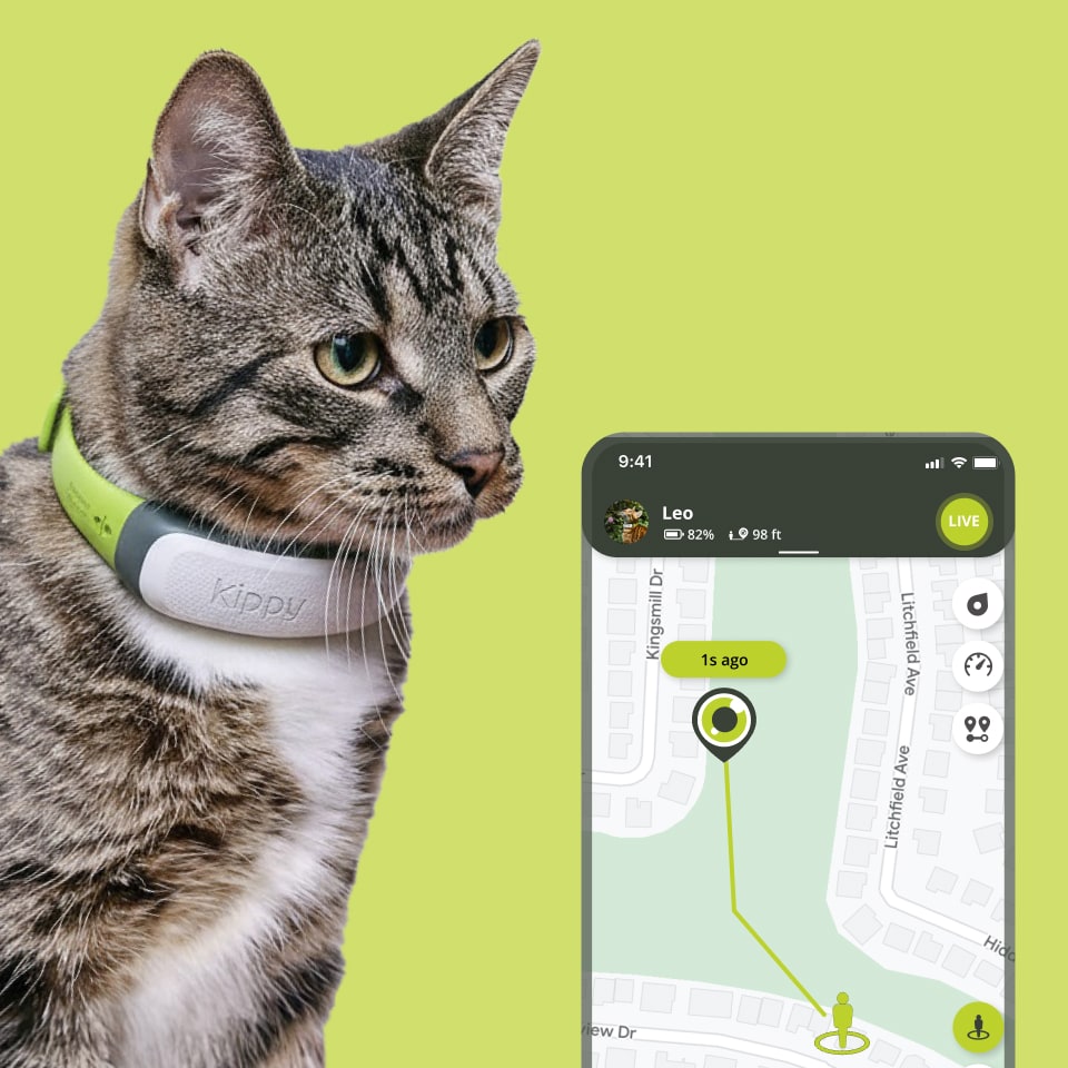 kippy-cat-traceur-gps-chat-collier-d-tachable-12-jours image 4