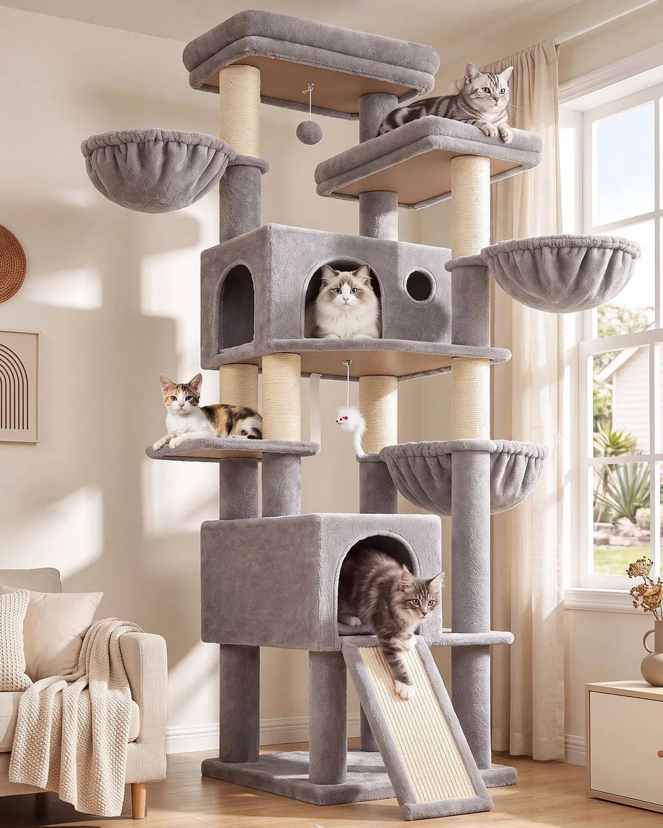 globlazer-f-series-f80k-arbre-chat-grand-robuste-203-cm image 1