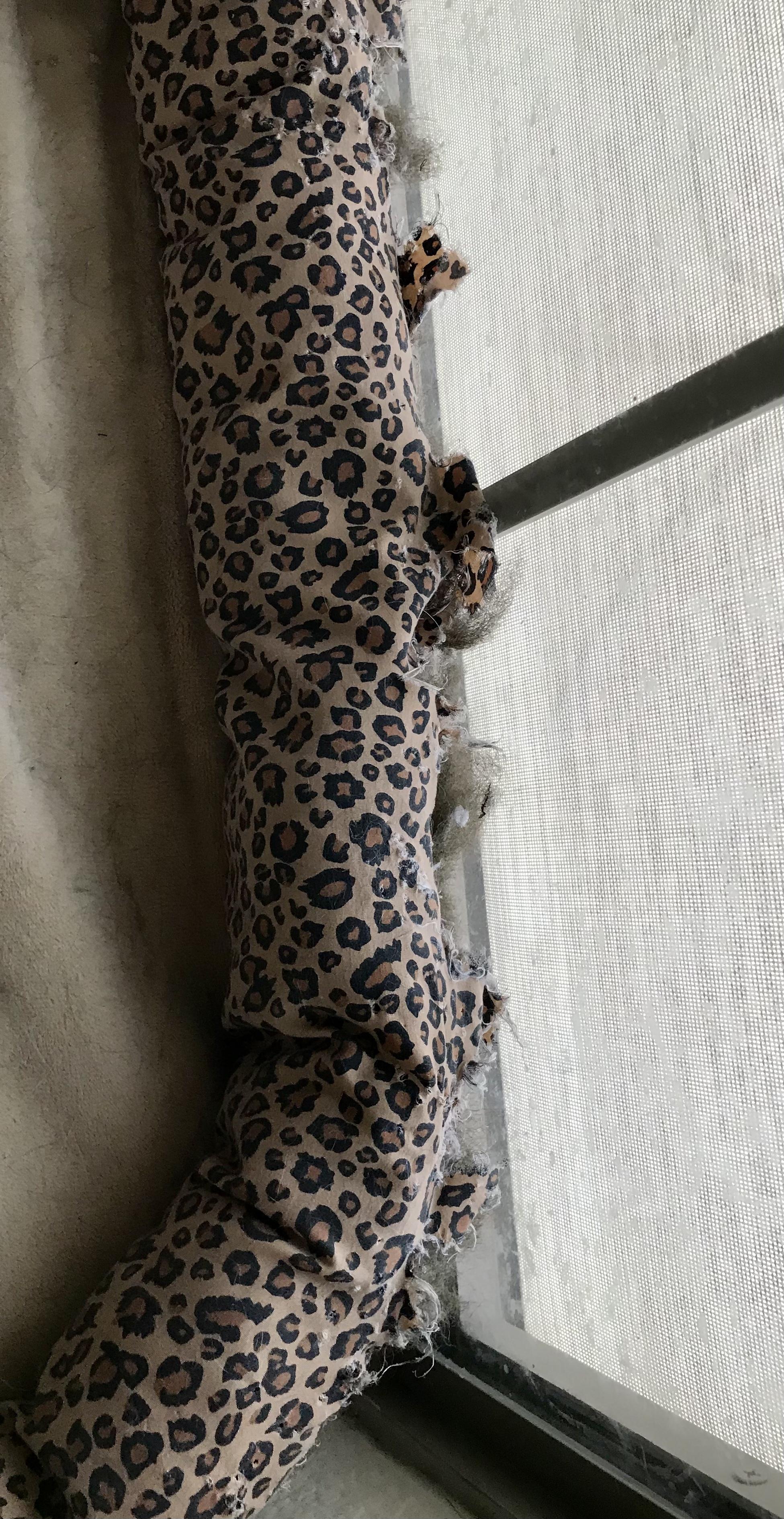 Housse lavable