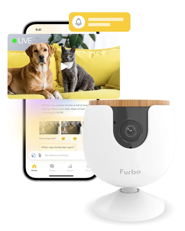 furbo-mini-cam-ra-animaux-abonnement-requis-1080p-vision-nuit image 1