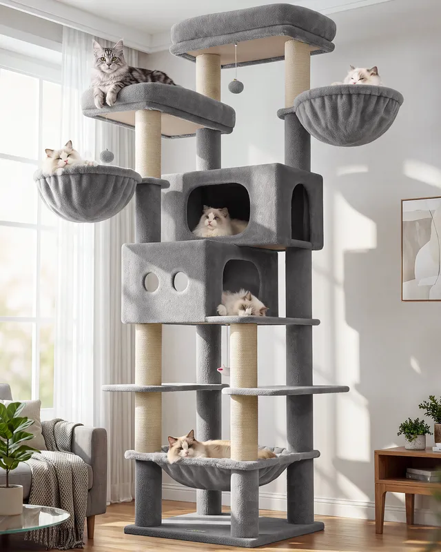 globlazer-f-series-f81e-arbre-chat-gris-clair-81-pouces-xxl image 1