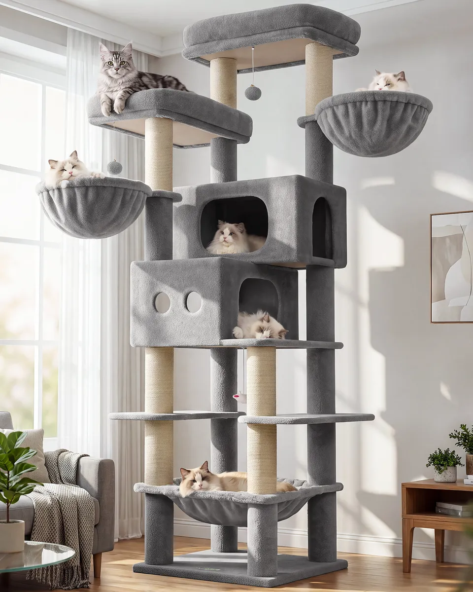 globlazer-f-series-f81e-arbre-chat-gris-clair-81-pouces-xxl image 1