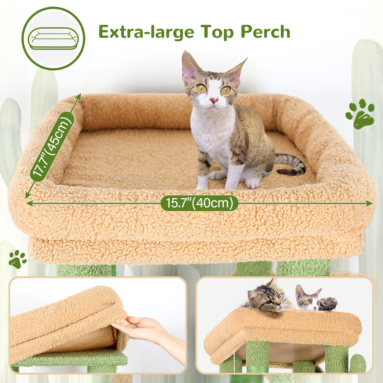 globlazer-f61-arbre-chat-vert-cactus-61-pouces-robuste image 3