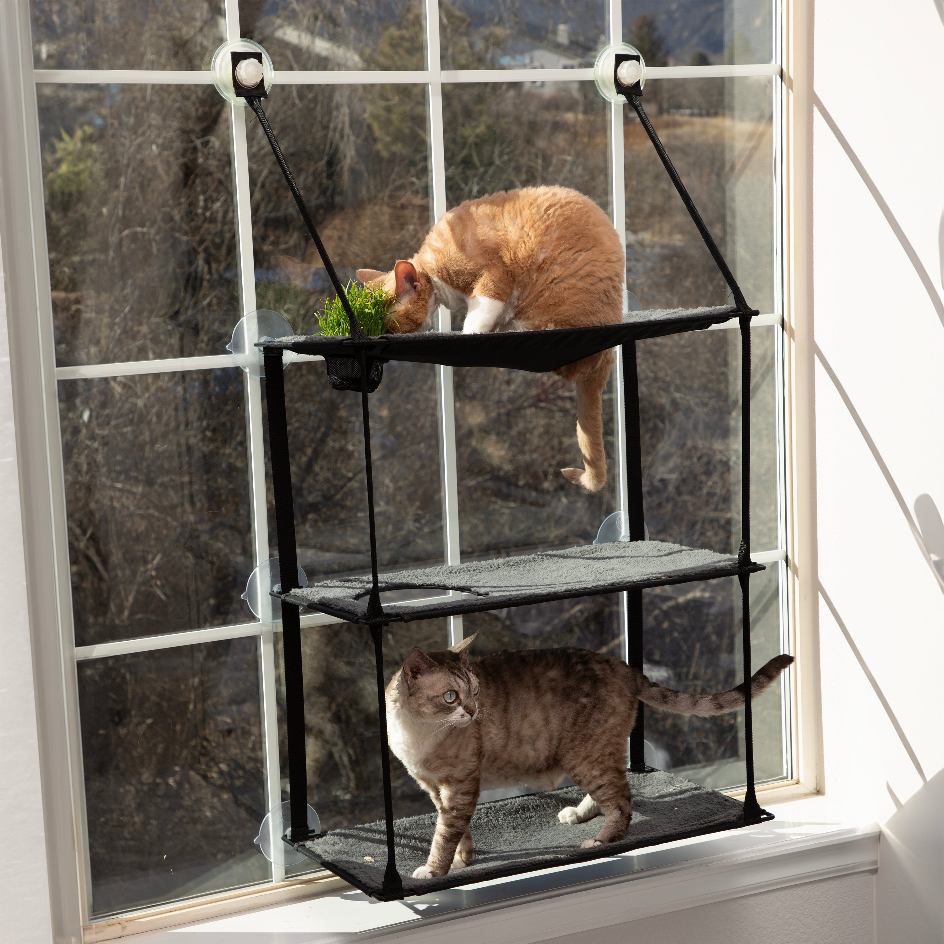 k-h-kitty-sills-perchoir-fen-tre-chat-herbe-triple-stack image 8