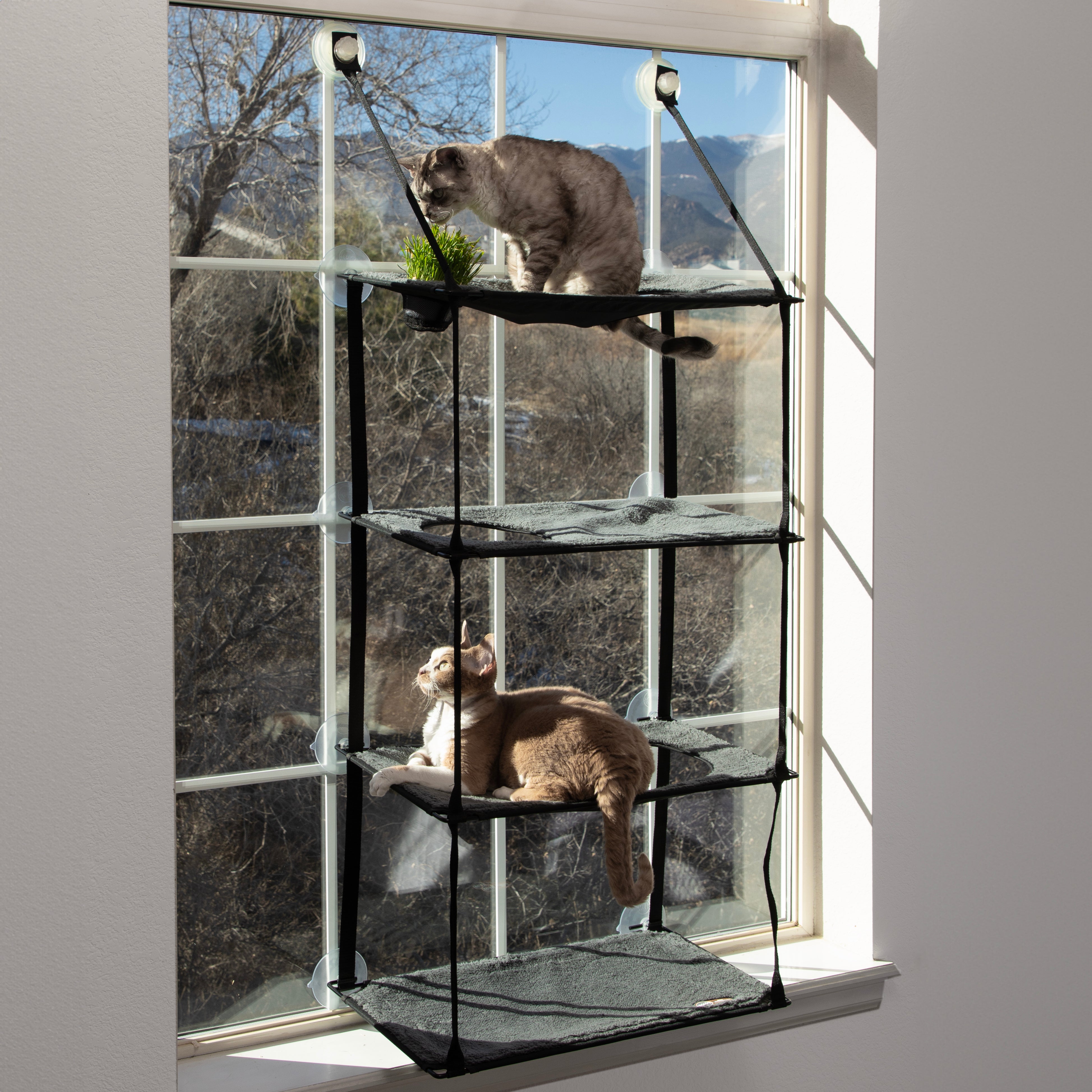k-h-kitty-sills-perchoir-fen-tre-chat-herbe-triple-stack image 1