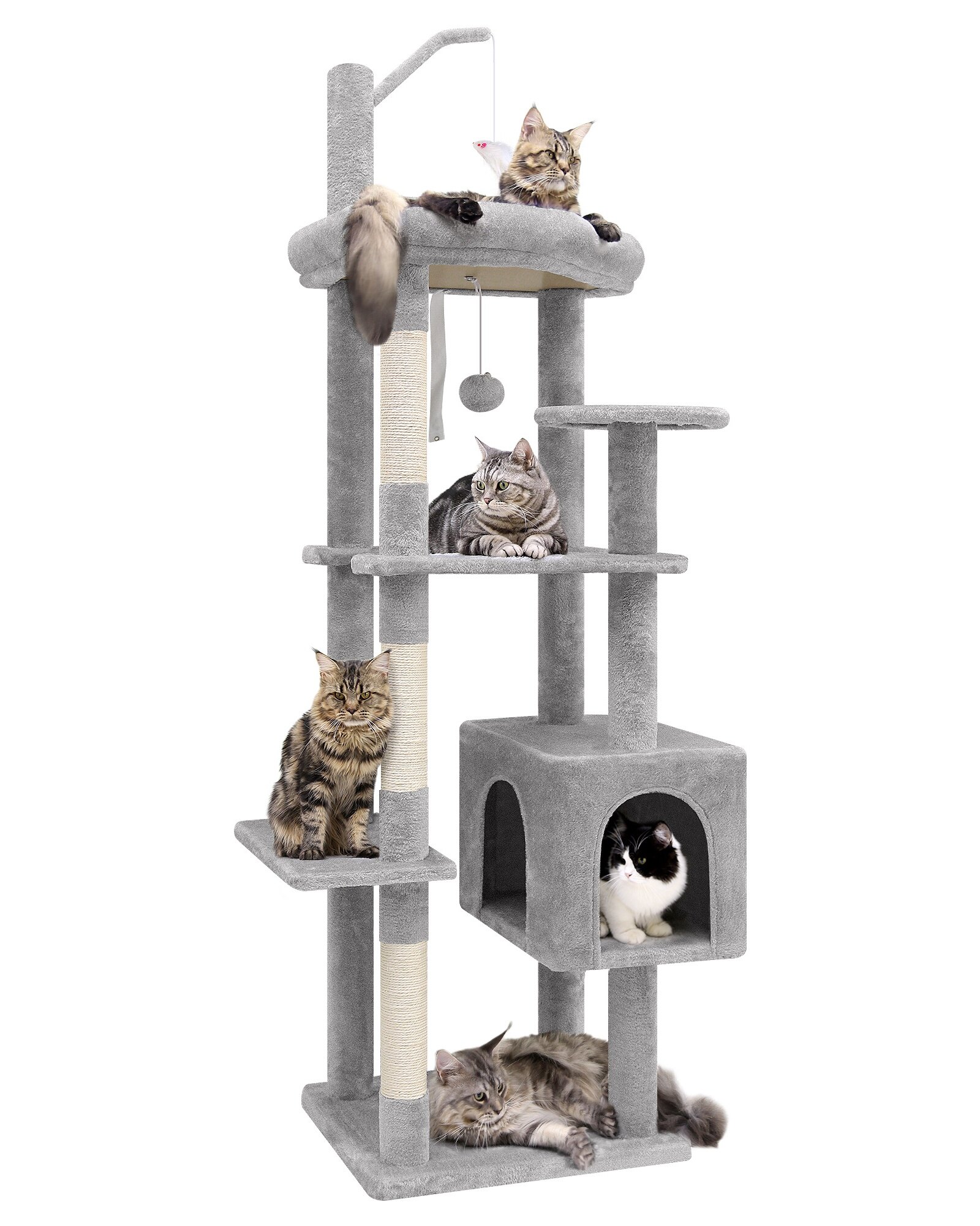 globlazer-f64-arbre-chat-gris-clair-64-pouces-adulte image 2