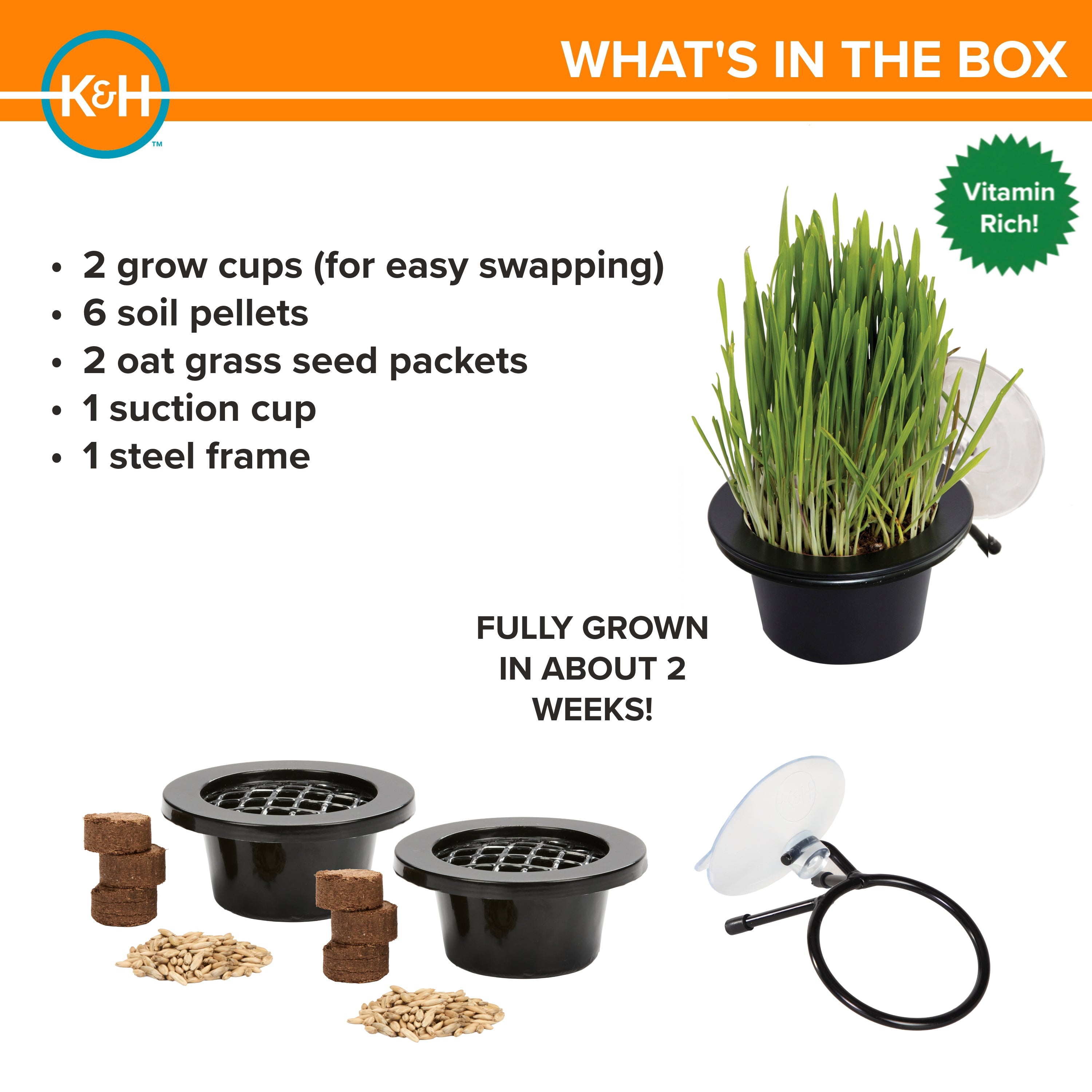 k-h-ez-mount-cat-grass-station-herbe-chat-fen-tre image 7