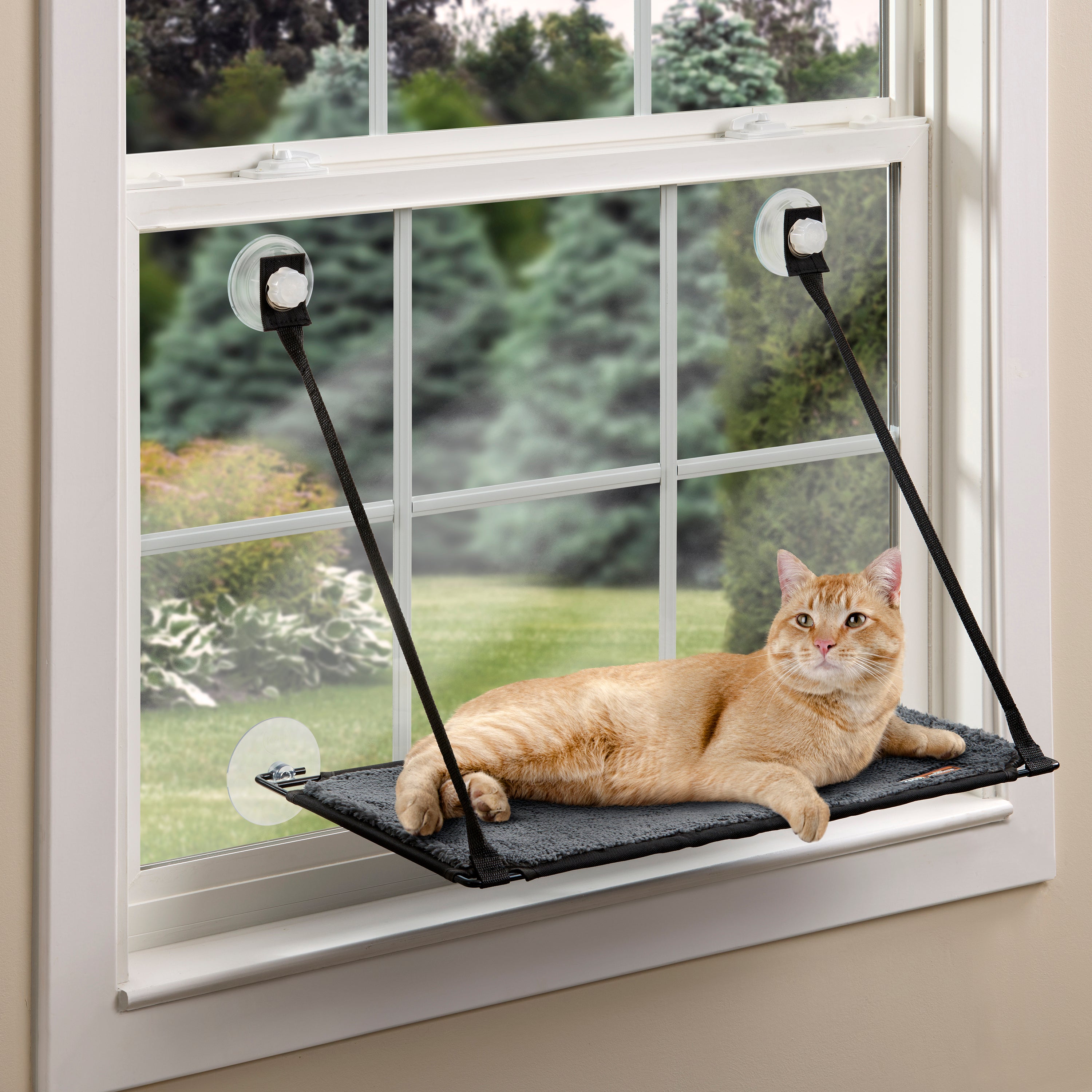 k-h-ez-mount-hamac-chat-fen-tre-ventouse-23x12-simple image 1