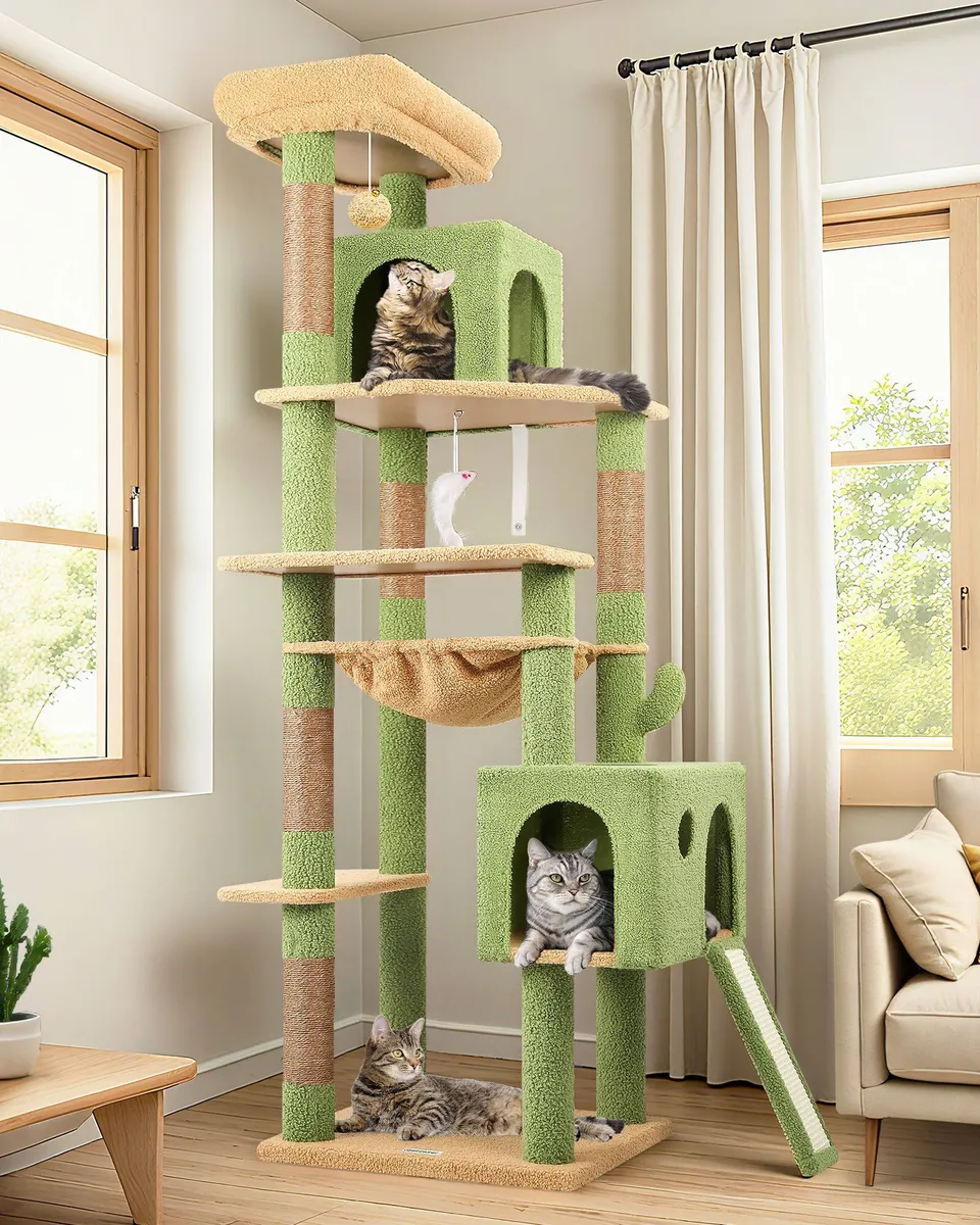 globlazer-f70-pro-arbre-chat-cactus-vert-70-pouces-niche image 1