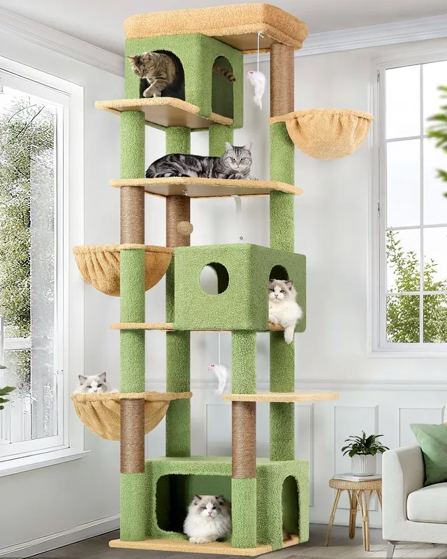 globlazer-f-series-f80f-arbre-chat-vert-cactus-80-pouces-grand image 1