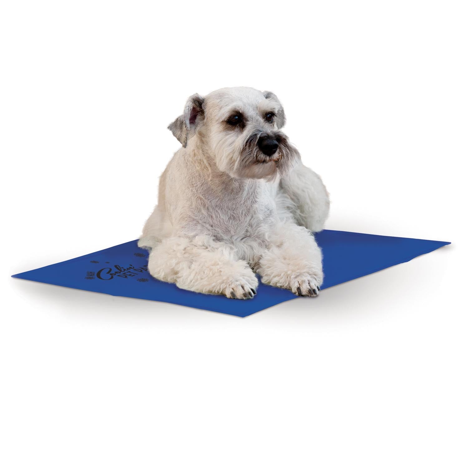 k-h-coolin-pet-pad-tapis-rafra-chissant-chien-medium-sans-gel image 8