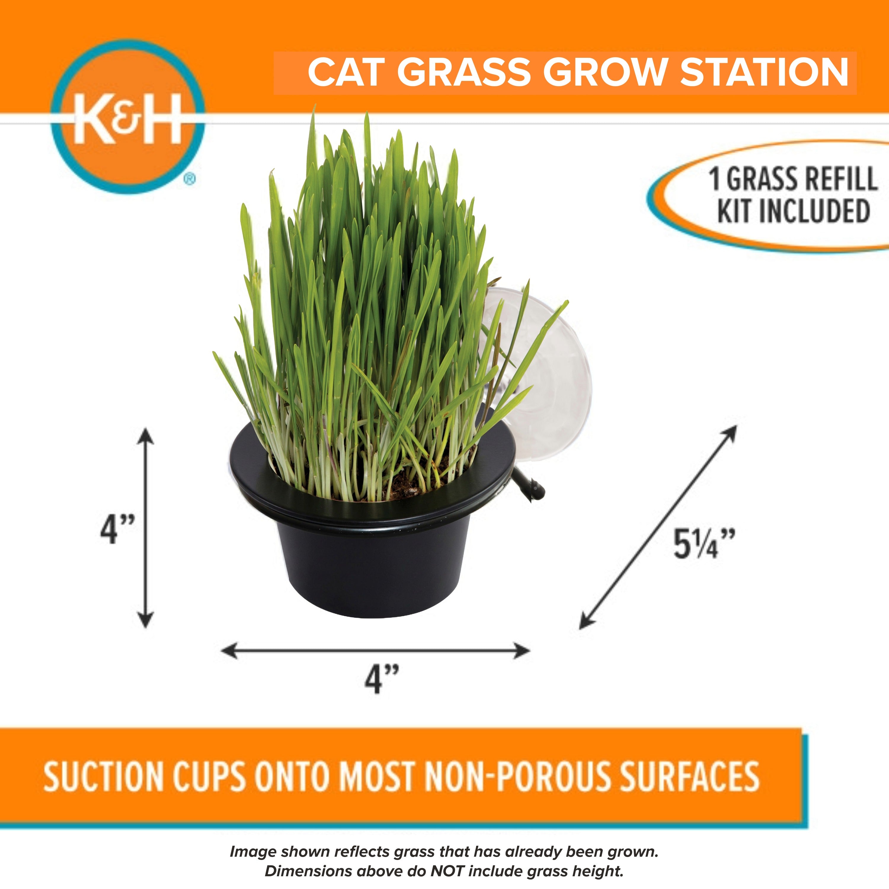k-h-ez-mount-cat-grass-station-herbe-chat-fen-tre image 2