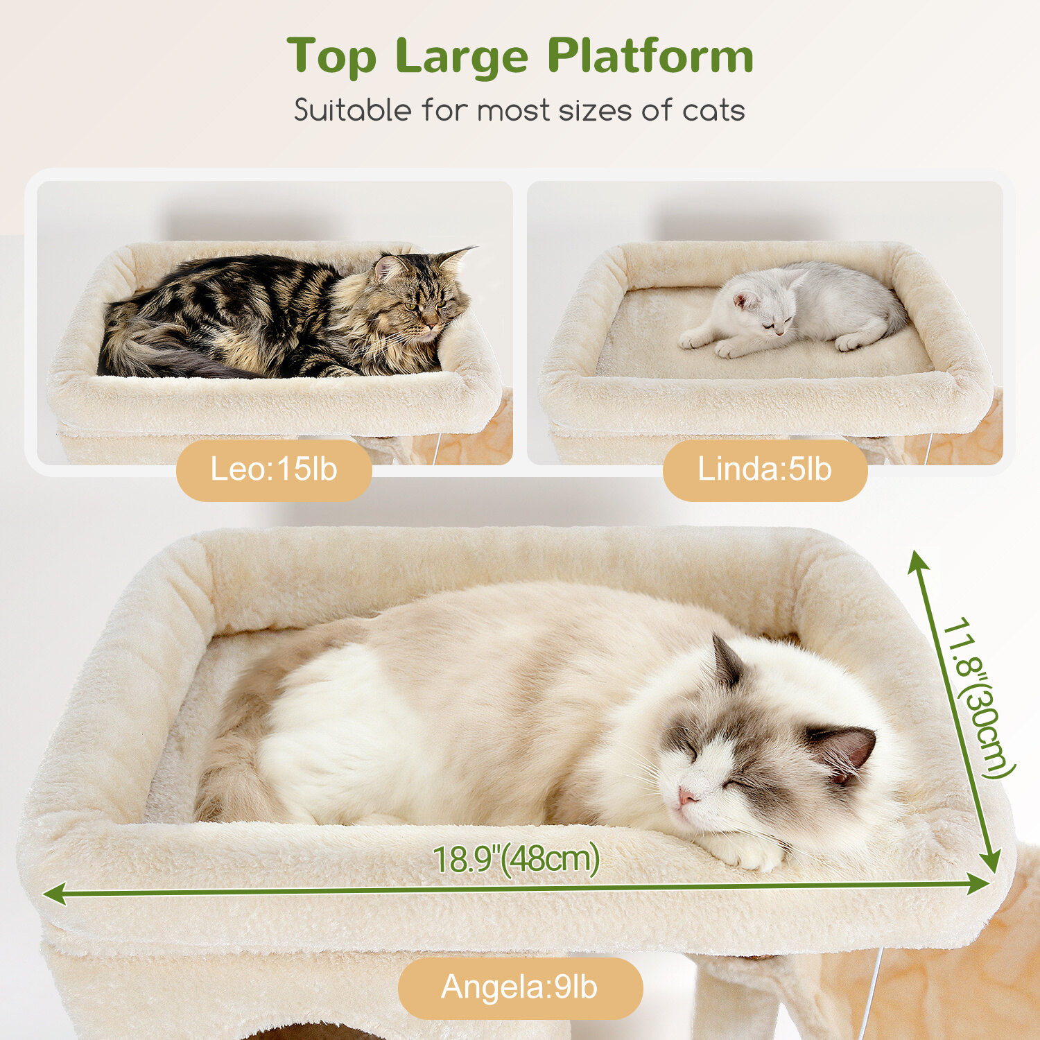 globlazer-f66-f-series-tour-chat-beige-66-pouces image 3
