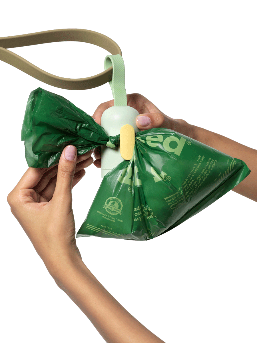 earth-rated-dispenser-distributeur-sac-crotte-15-sacs-laisse image 6