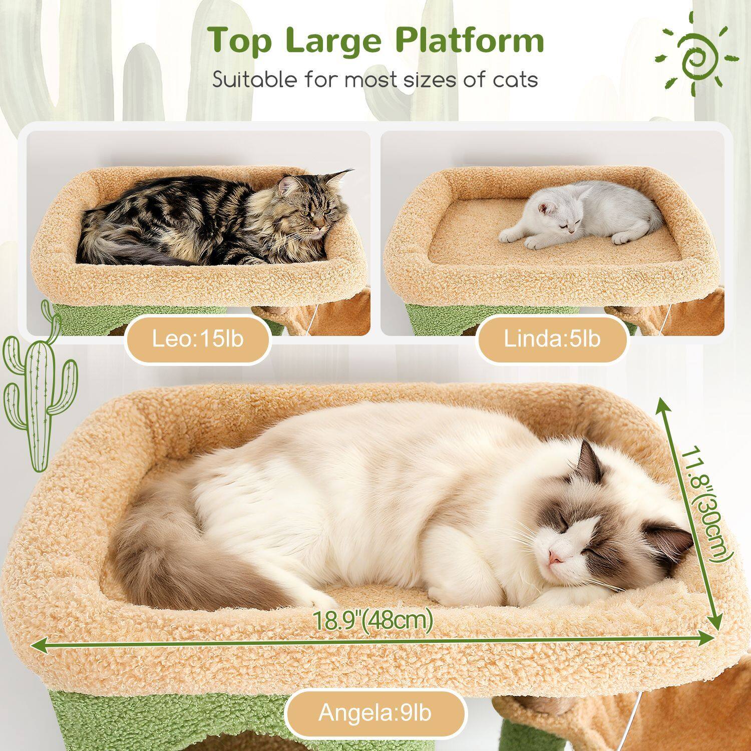 globlazer-f-series-f66-arbre-chat-vert-cactus-168-cm image 3