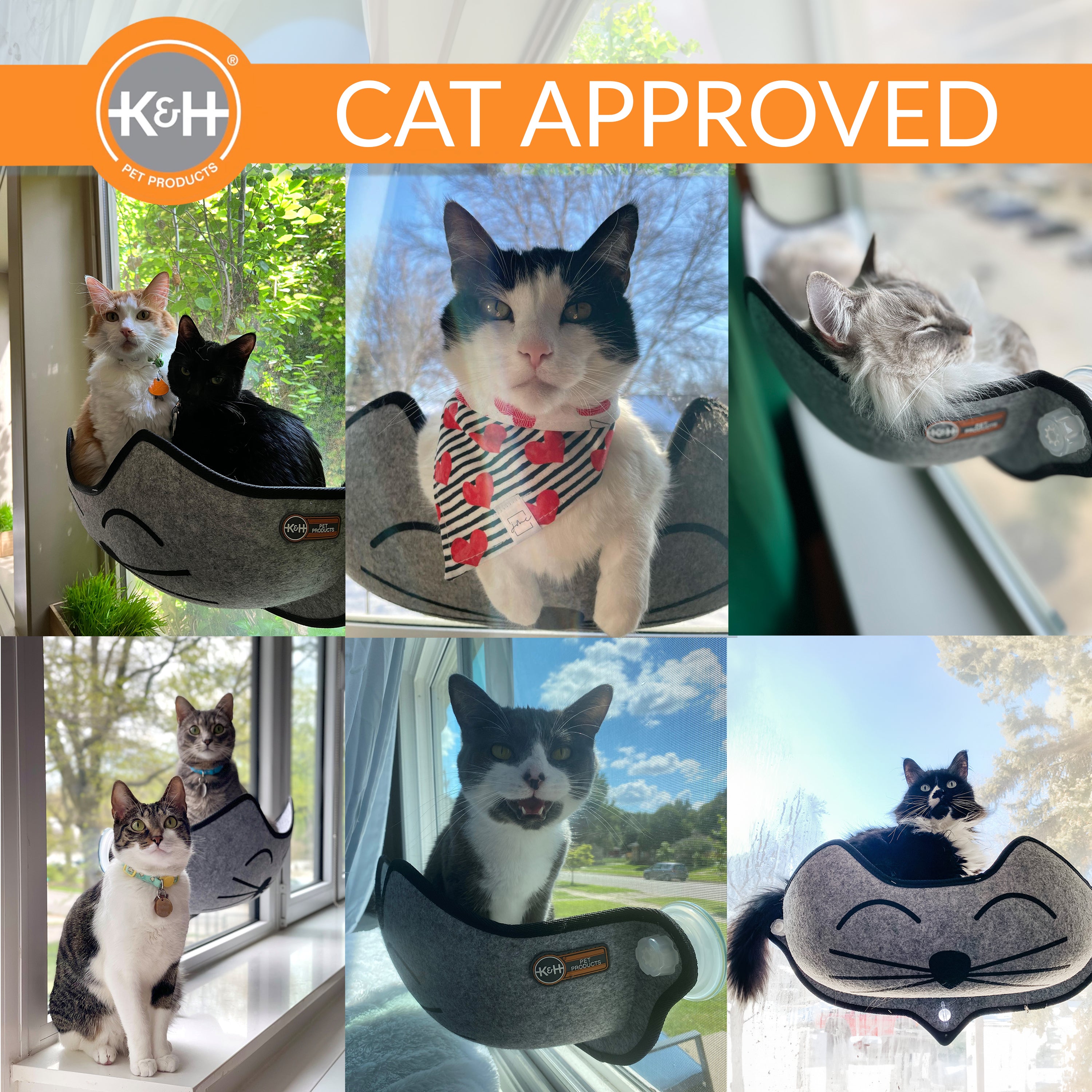 k-h-ez-mount-kittyface-lit-fen-tre-chat-gris-ventouse image 2