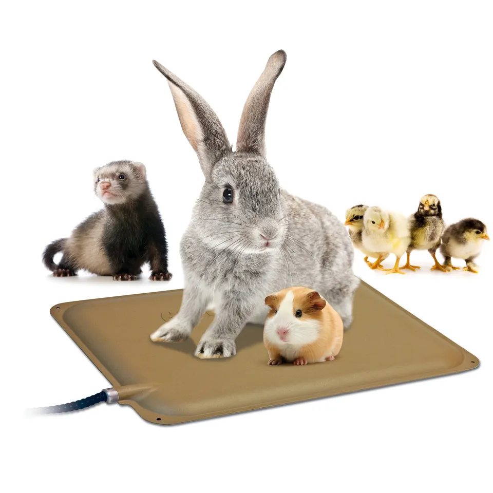 k-h-small-animal-tapis-chauffant-rongeur-9x12-25w image 1