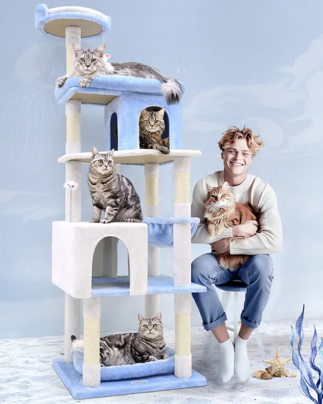 globlazer-s72-arbre-chat-bleu-oc-an-72-pouces-grand image 1