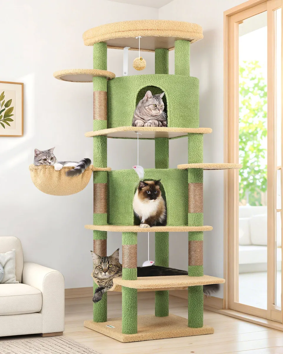 globlazer-c-series-c66-arbre-chat-vert-cactus-66-pouces-angle image 1