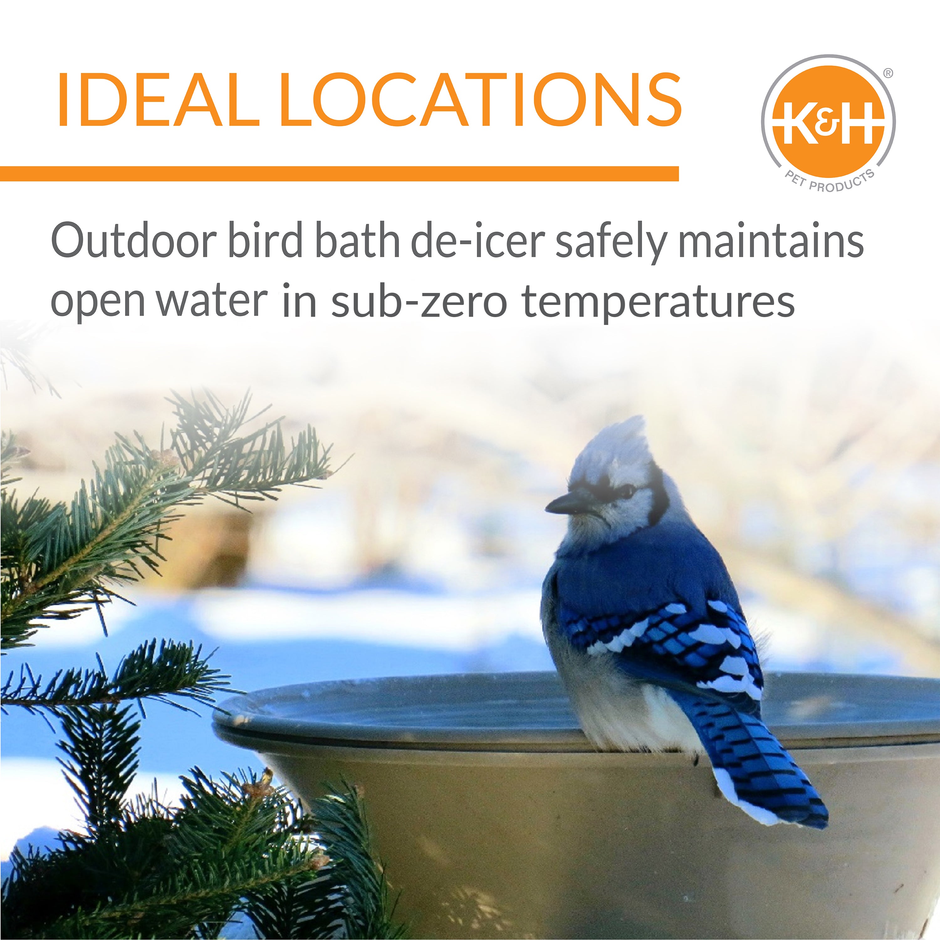 k-h-super-ice-eliminator-chauffe-abreuvoir-oiseaux-80w image 7