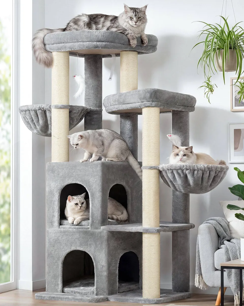 globlazer-s-series-s63-arbre-chat-gris-clair-63-pouces-gros-chat image 1