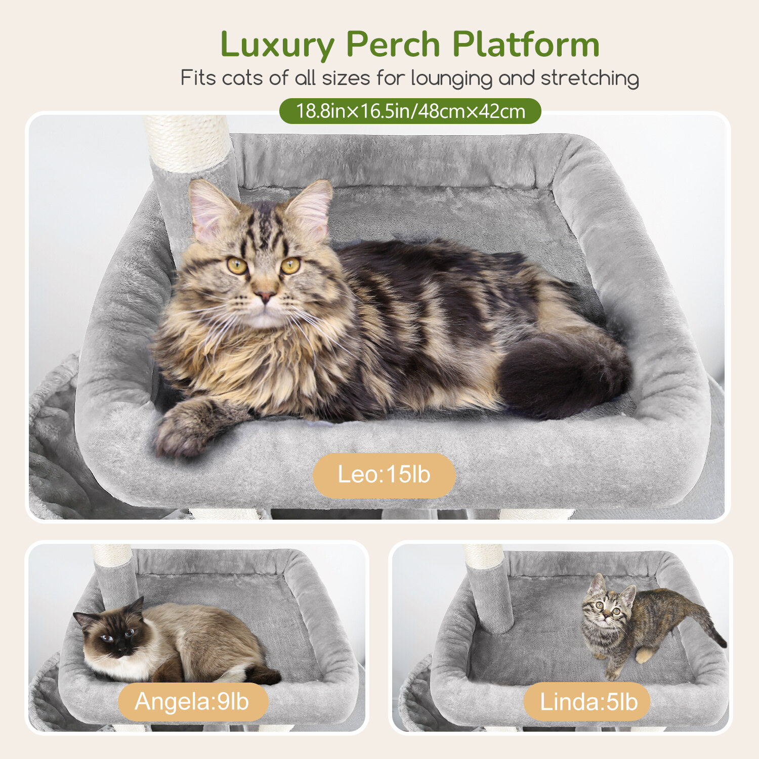 globlazer-f68-arbre-chat-gris-clair-173-cm image 3