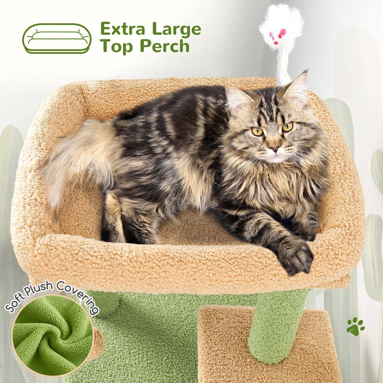 globlazer-f-series-fc50-arbre-chat-grand-chat-vert-127-cm image 4