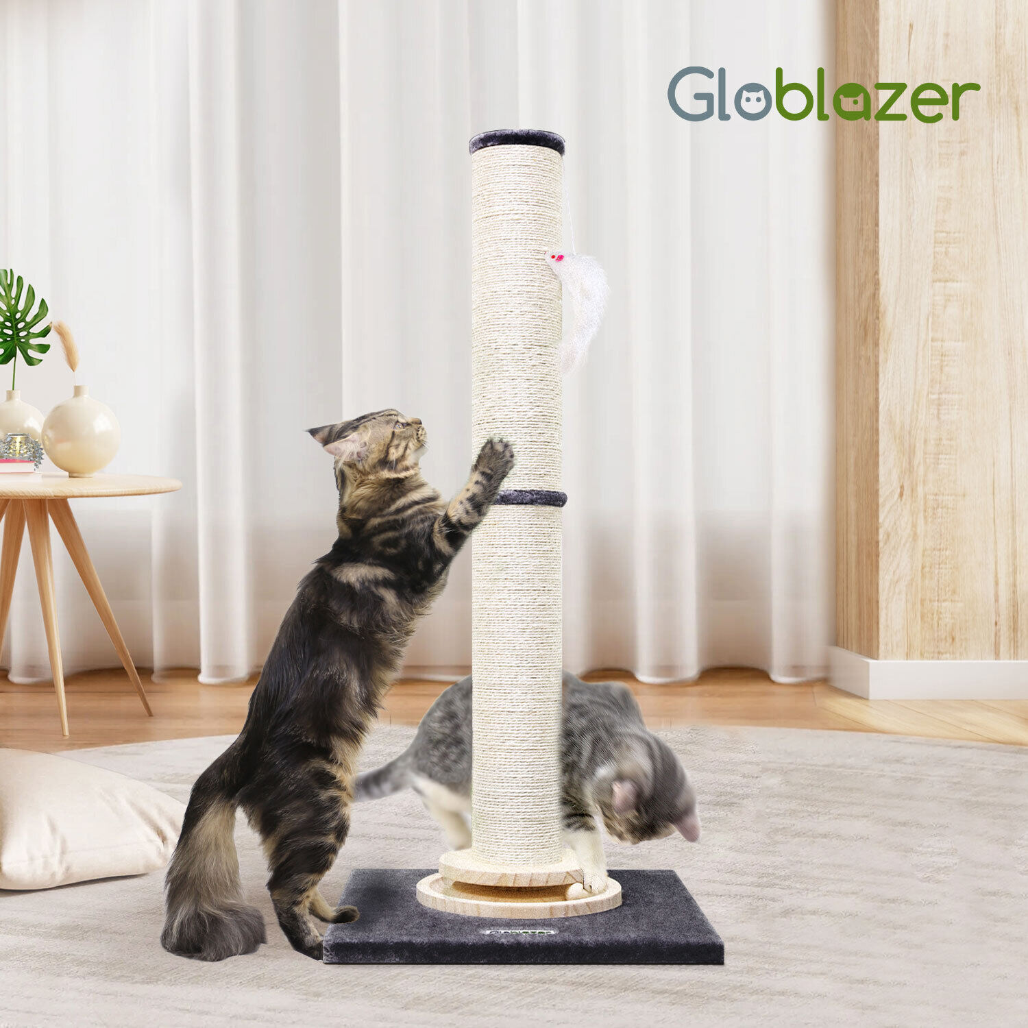globlazer-sc35-griffoir-gris-fonc-89-cm-robuste image 8