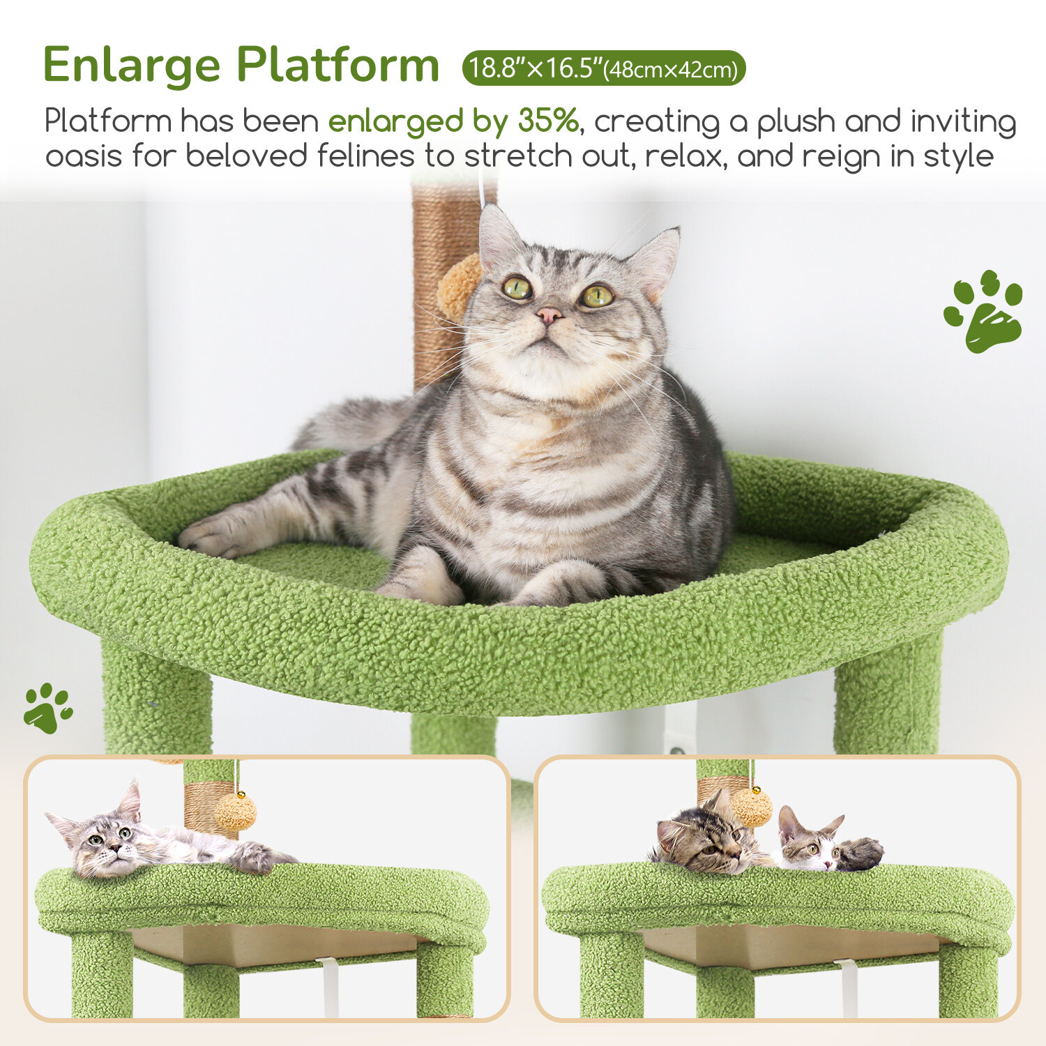 globlazer-s-series-s65-arbre-chat-robuste-vert-cactus-165-cm image 3