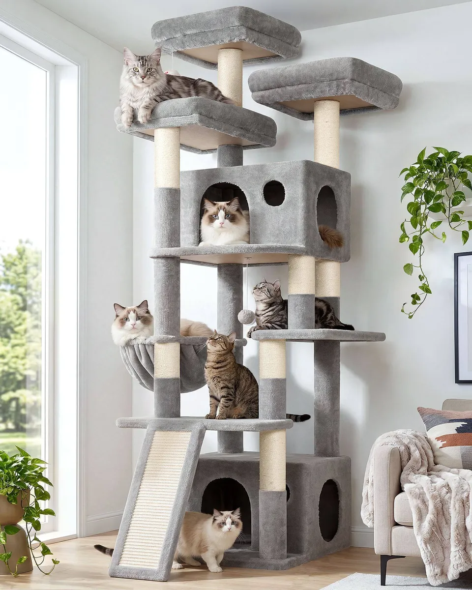 globlazer-f-series-f73c-arbre-chat-gris-clair-73-pouces-grand image 1