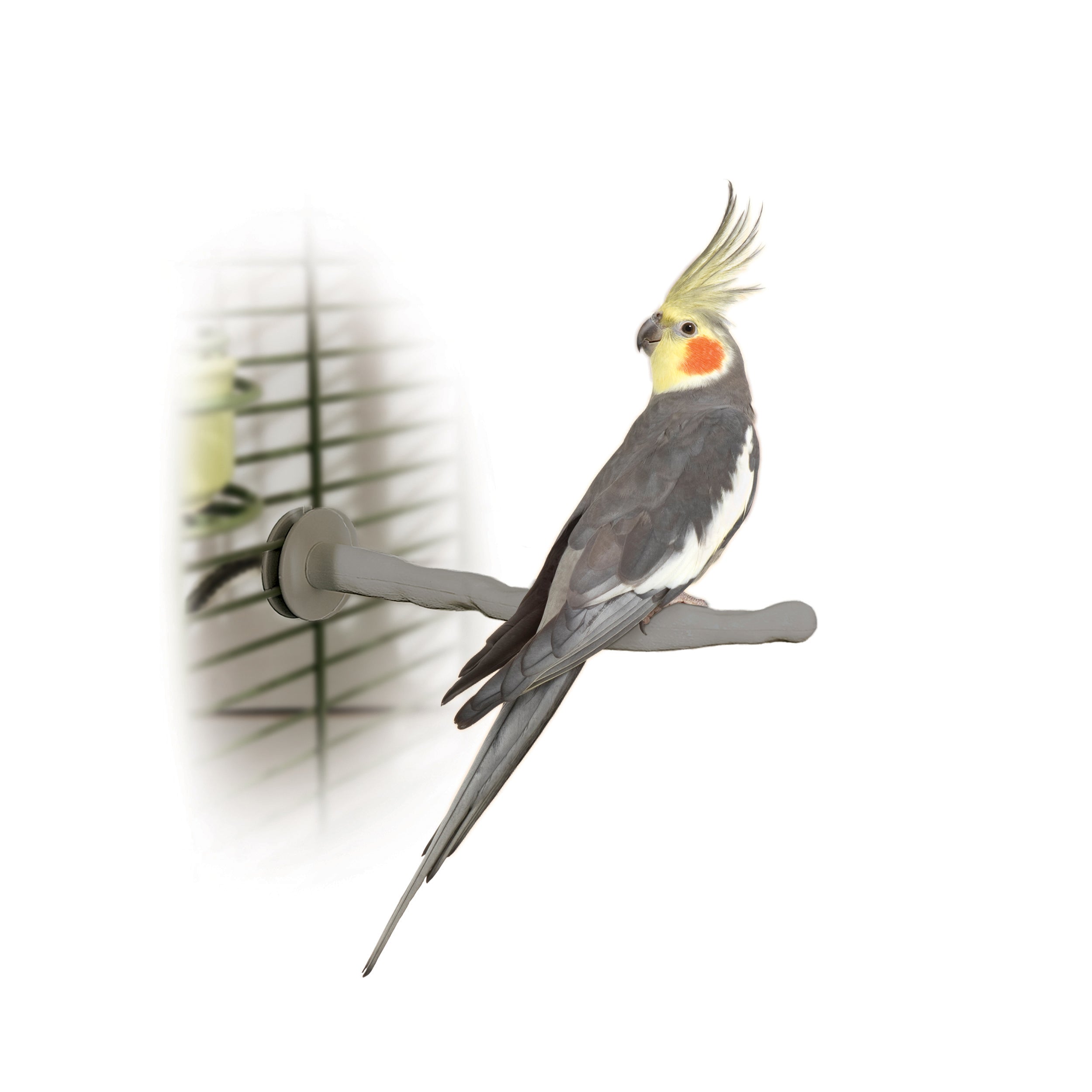 k-h-thermo-perch-perchoir-chauffant-oiseau-3-tailles-12v image 1