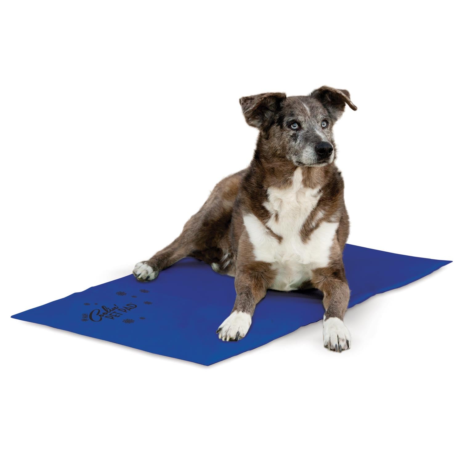 k-h-coolin-pet-pad-tapis-rafra-chissant-chien-medium-sans-gel image 7