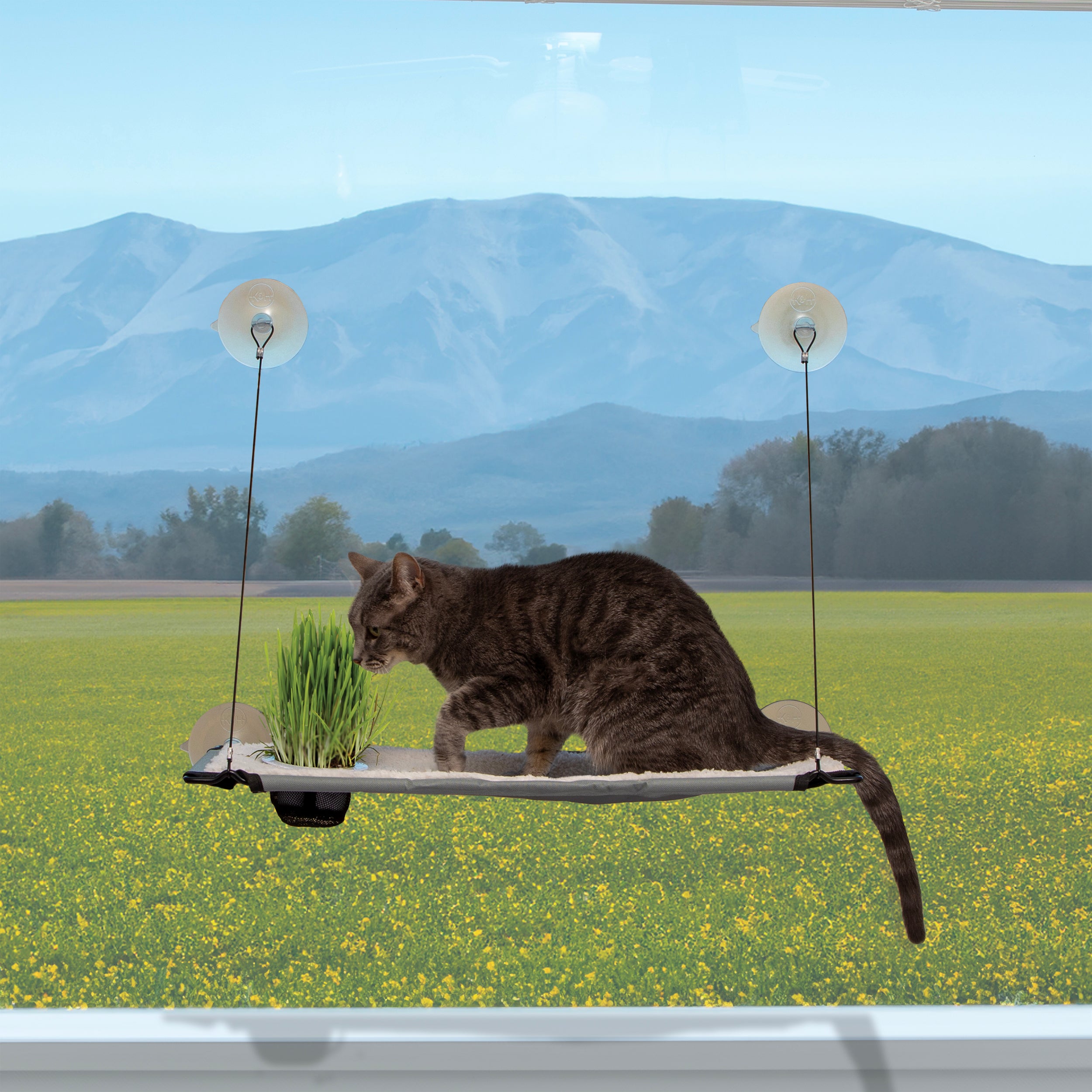 k-h-window-lounger-hamac-fen-tre-chat-herbe-simple image 1