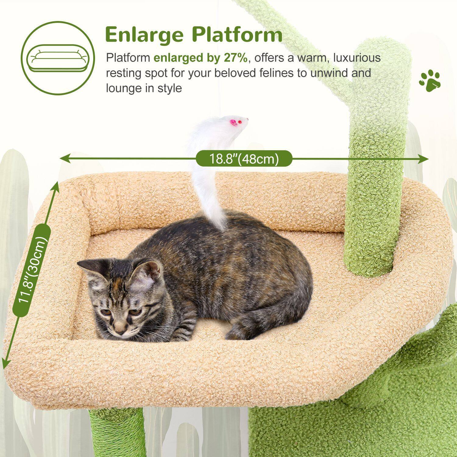 globlazer-f46c-arbre-chat-vert-46-pouces-chaton image 4