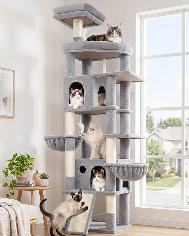 globlazer-f-series-f81h-arbre-chat-gris-clair-81-pouces-stable image 1