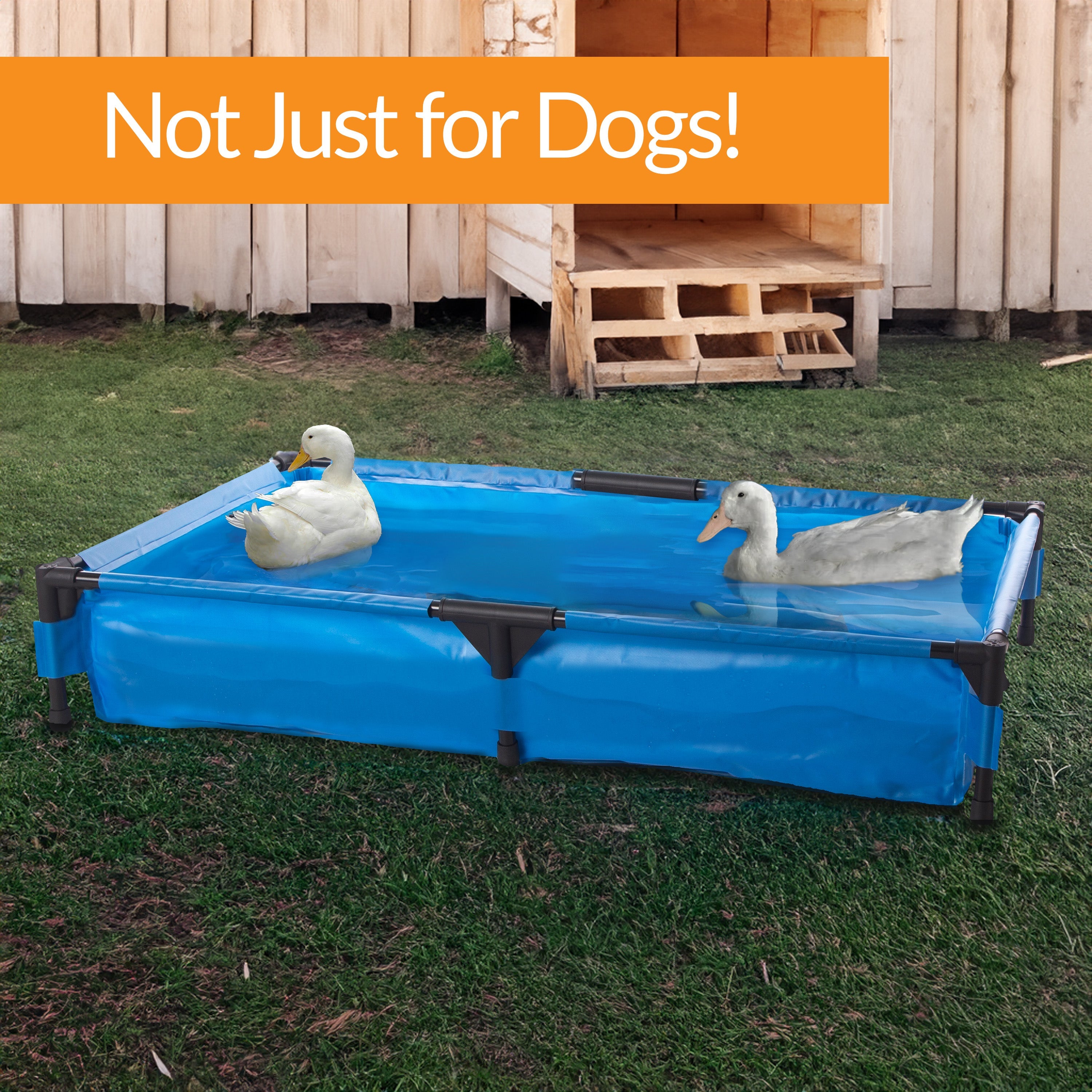 k-h-cooling-dog-beds-pools-piscine-chien-large-30x42 image 5