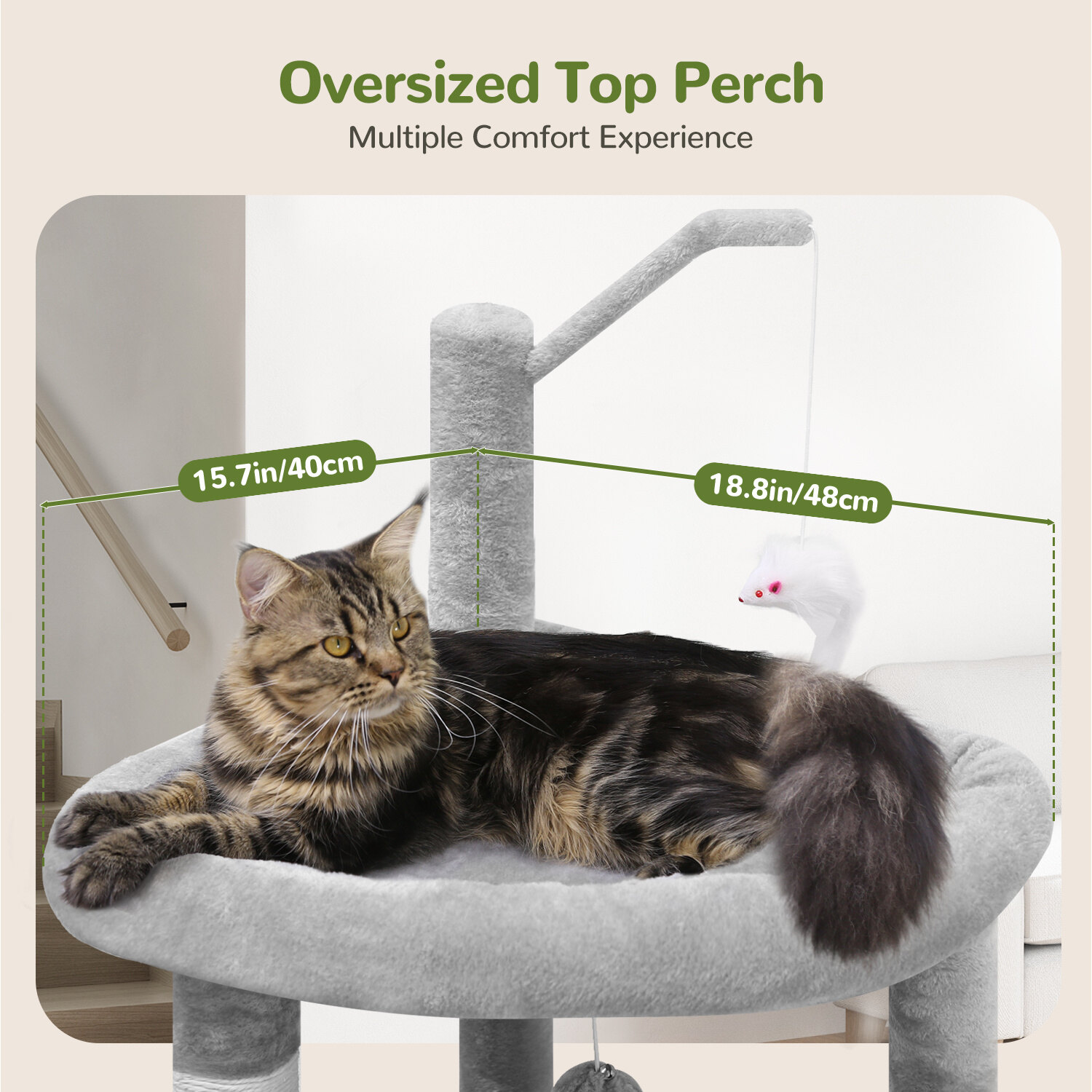 globlazer-f64-arbre-chat-gris-clair-64-pouces-adulte image 6