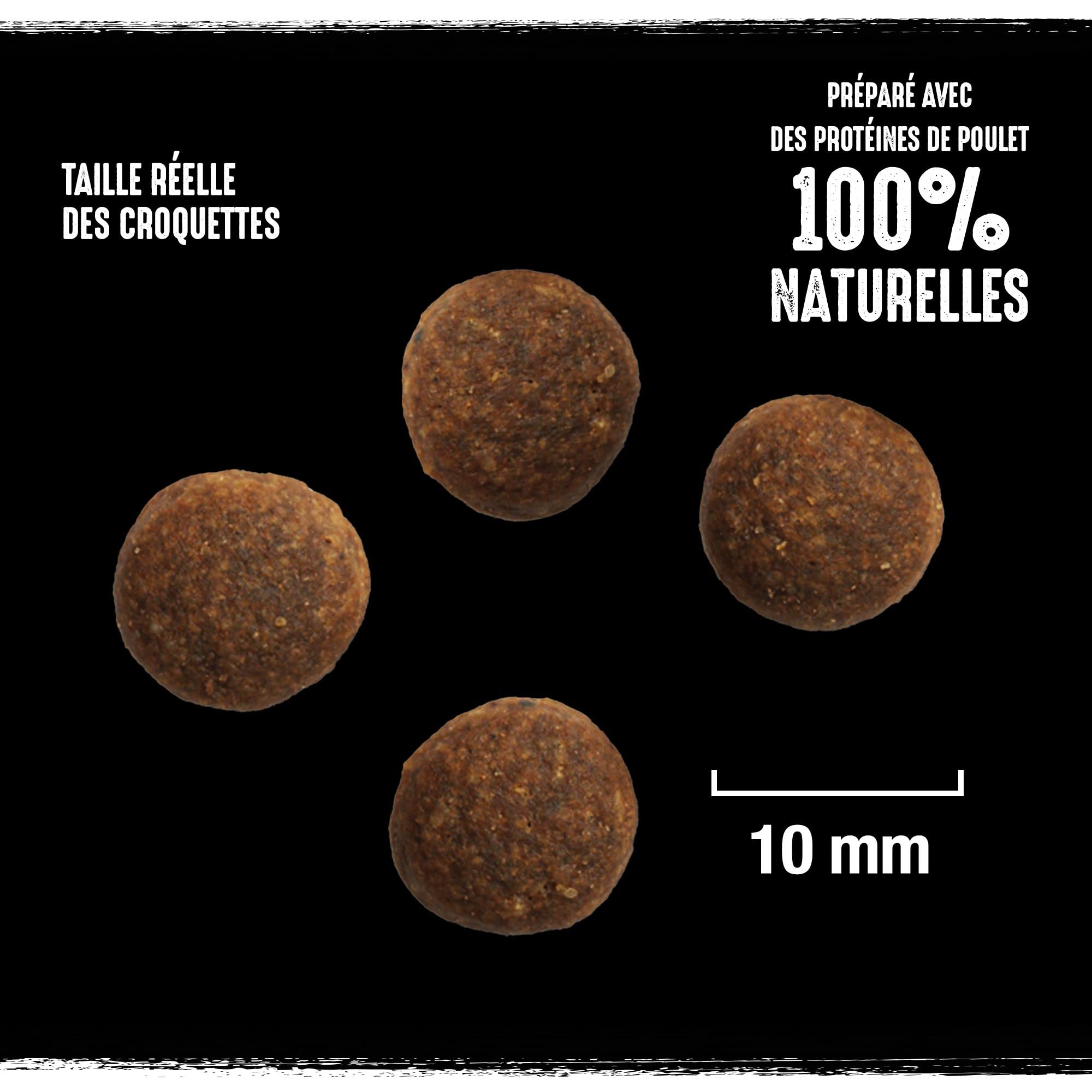 crave-dinde-poulet-croquettes-chien-adulte-6x1kg image 6
